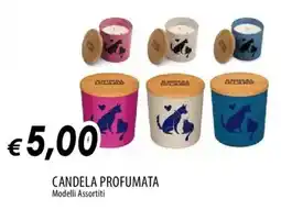 IperFamila CANDELA PROFUMATA offerta