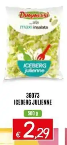 Zona Iceberg julienne offerta