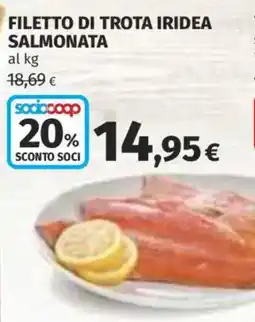 Ipercoop Filetto di trota iridea salmonata offerta