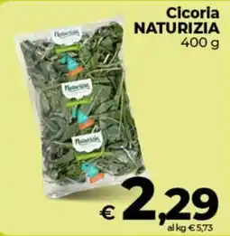 Coop Radenza Cicoria NATURIZIA offerta