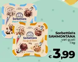 Coop Radenza Sorbettiera SAMMONTANA offerta