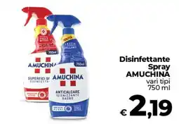 Coop Radenza Disinfettante Spray AMUCHINA offerta