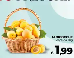 Ipercoop Radenza ALBICOCCHE offerta