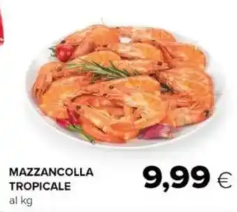Oasi MAZZANCOLLA TROPICALE offerta