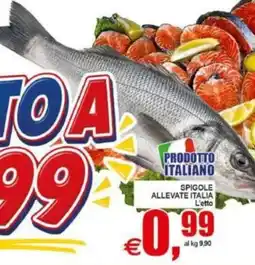 Pewex Spigole allevate italia offerta