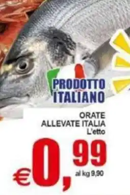 Pewex ORATE ALLEVATE ITALIA offerta