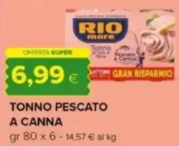 Oasi RIO mare Tonno Pescato a Canna offerta
