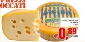 Pewex JAGIBO MAASDAM offerta