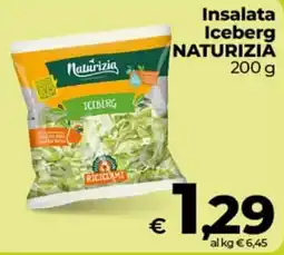 Ipercoop Radenza Insalata Iceberg NATURIZIA offerta