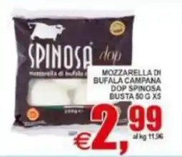 Pewex Mozzarella di bufala DOP Spinosa offerta