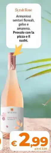 Ipercoop Radenza Syrah Rosé Settesoli offerta
