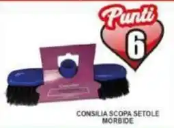 Pewex Consilia Scopa Setole Morbide offerta