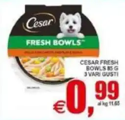 Pewex Cesar Fresh Bowls offerta