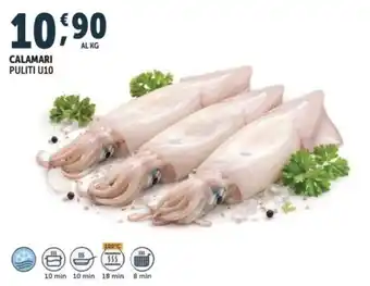 Calamari Puliti U10