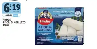 Deco Supermercati Findus 4 Fiori di Merluzzo offerta