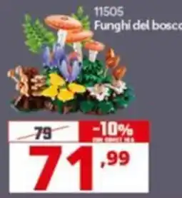 Comet Funghi del bosco offerta