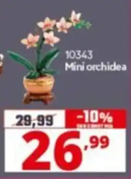 Comet Mini orchidea offerta