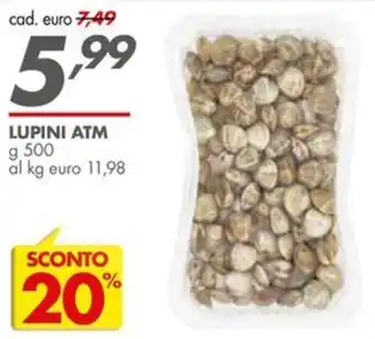 Italmark LUPINI ATM offerta