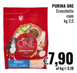 Famila PURINA ONE Crocchette cane offerta