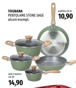 Famila TOGNANA PENTOLAME STONE SAGE offerta