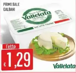 Sisa Primo Sale Galbani Vallelata offerta