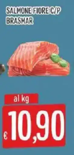 Sisa Salmone fiore c/p brasmar offerta