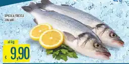 Sisa Spigola Fresca offerta