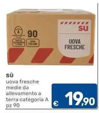 C+C Cash and Carry sù uova fresche offerta