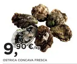 Poli Ostrica Concava Fresca offerta