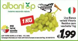 Iper Super Conveniente Uva Bianca varietà Vittoria offerta
