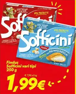Iper Super Conveniente Sofficini Findus offerta