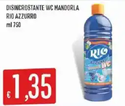 Sisa Disincrostante WC Mandorla Rio Azzurro offerta