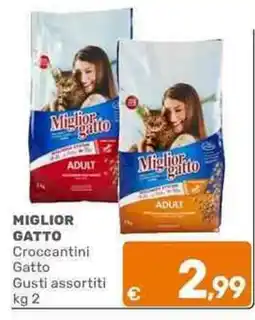 C+C Cash and Carry Miglior Gatto Croccantini Gatto offerta