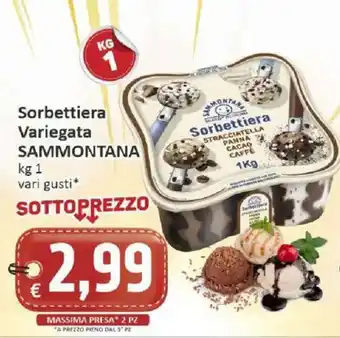 Sorbettiera Variegata SAMMONTANA