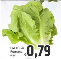 Paghi Poco LATTUGA Romana offerta
