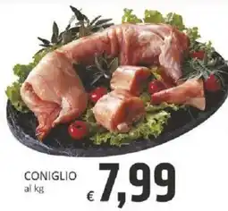 Paghi Poco CONIGLIO offerta