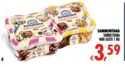 Deco Supermercati Sammontana Sorbettiera offerta