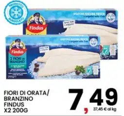 Interspar Fiori di Orata/Branzino Findus offerta