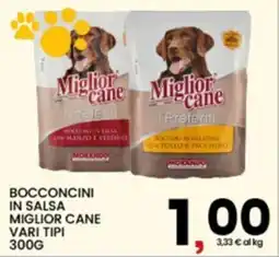 Interspar Bocconcini in salsa Miglior Cane offerta