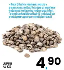 Interspar LUPINI offerta