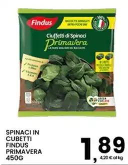 Interspar Spinaci in cubetti Findus Primavera offerta