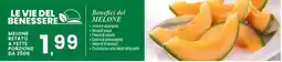 Interspar Melone retato offerta