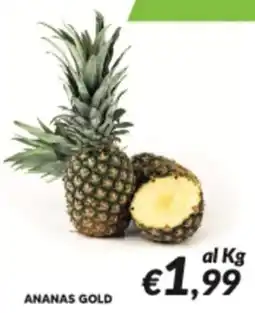 Supermercati Visotto ANANAS GOLD offerta