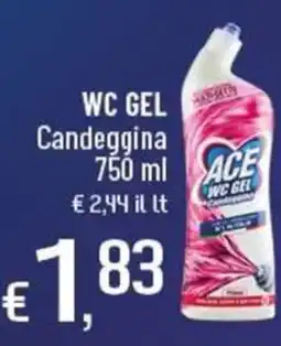 Famila Superstore ACE WC GEL Candeggina offerta