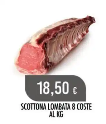 Scelgo SCOTTONA LOMBATA 8 COSTE offerta