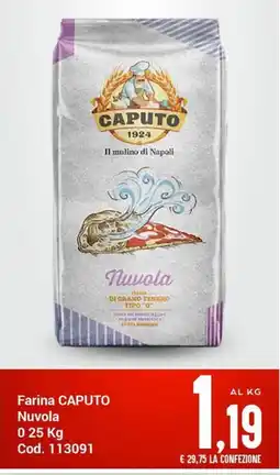 Centro Cash Farina CAPUTO Nuvola offerta