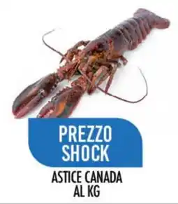 Scelgo Astice Canada offerta