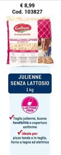 Centro Cash Galbani julienne senza lattosio offerta