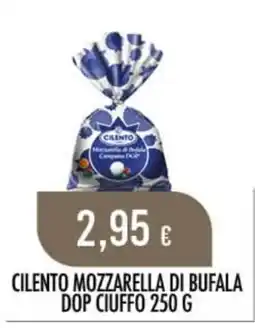 Scelgo CILENTO MOZZARELLA DI BUFALA offerta