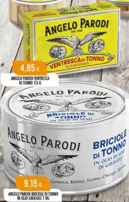 Scelgo Angel parodi briciole di tonno in olio girasole offerta